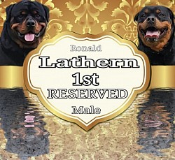 1st MALE RESERVED