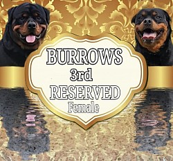 3rd FEMALE RESERVED
