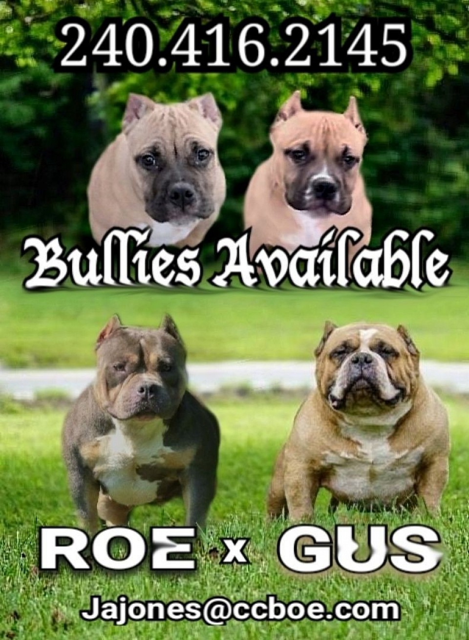 240-416-2145 (Contact for more information) SERIOUS INQUIRIES ONLY