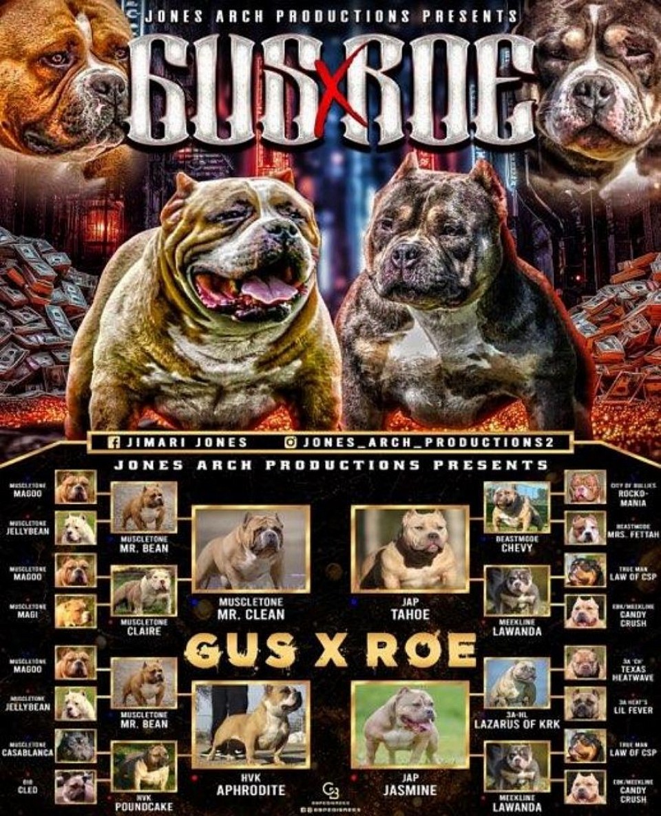 JONES ARCH PRODUCTIONS